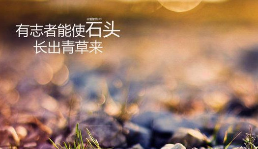 �����������˵˵