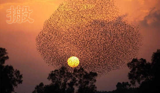 °áÀÖÆ÷×ۺϻ˵¿Î¸å