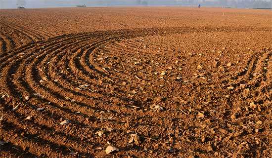 ����������ô��˵�θ巶��