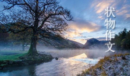 ɽ��ѧҽ����