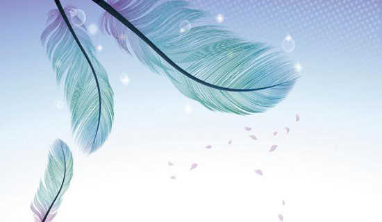 ëë�������Ĺ���