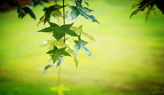 �ĵ׵�һ�仰��������