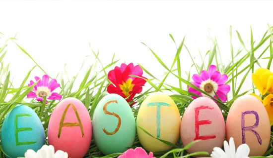 ���������ϰ�ױ�������