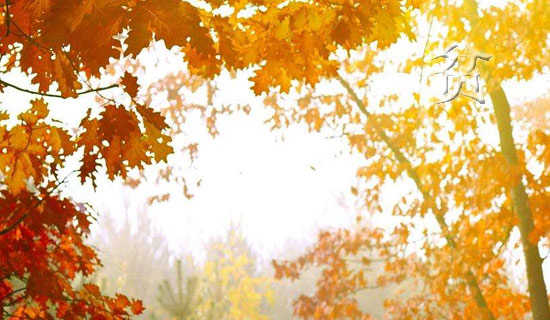 ƶ���˼ҵ�����������