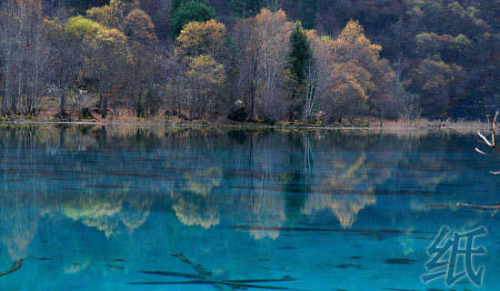 ֽ�ɻ��׽̹���