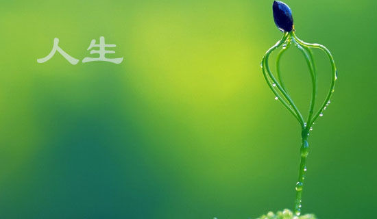 ����������������·���