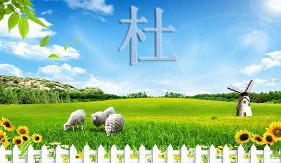 �ž������