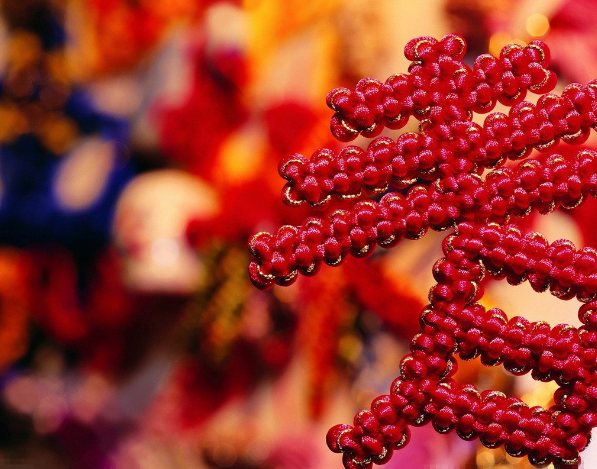 ΢��ӭ�����������˵˵