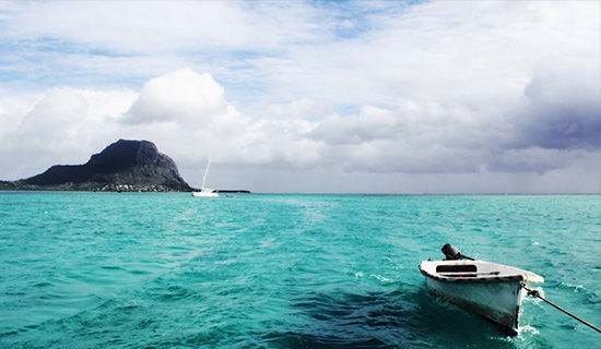 ��������˼����į��˭��ѧ������