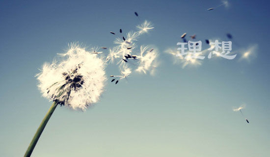 �ҵ�����Сѧ�����꼶����600��