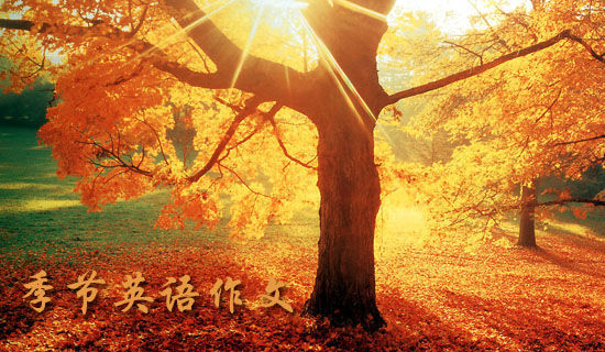 A happy day���꼶Ӣ������