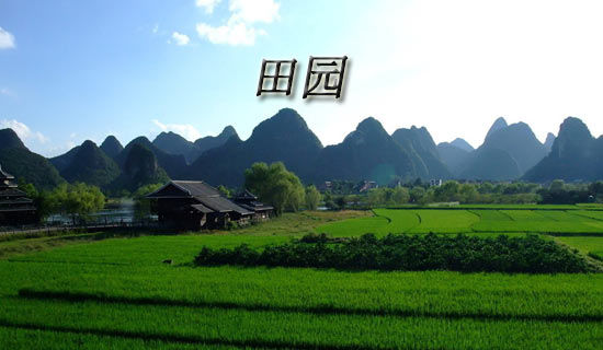 ��ɫ�·��Ļ�����������300��