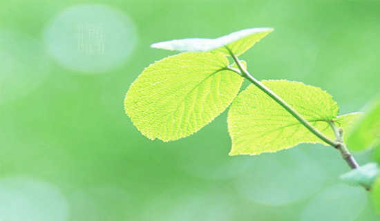 ���ġ�һȥ�������˵�θ�