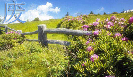 废旧物造型和我们一样享受春天美术说课稿