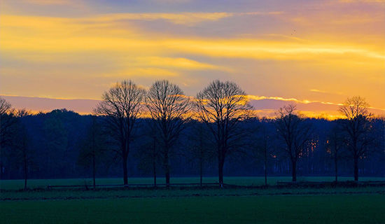 �ſ���ȸ�������