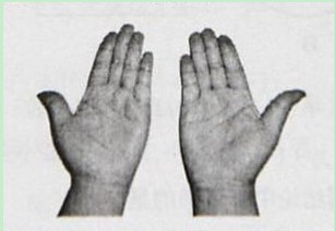 2013��߿�����д��ָ����4��