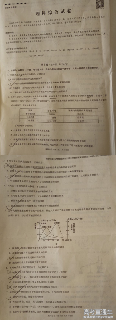 2016��ʦ���еڰ˴���Ӧ�Կ��������Ծ�����