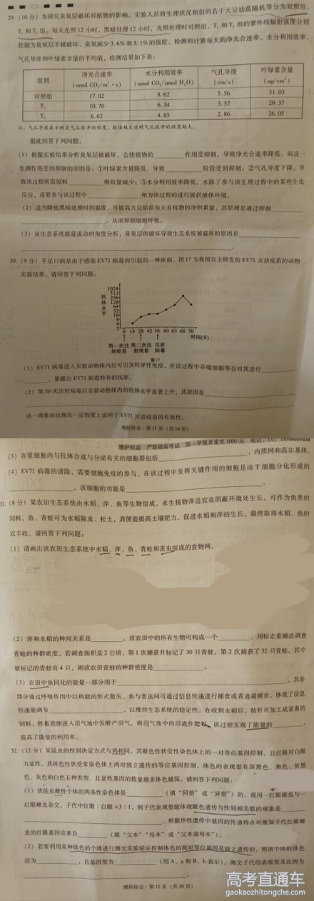 2016��ʦ���еڰ˴���Ӧ�Կ��������Ծ�����