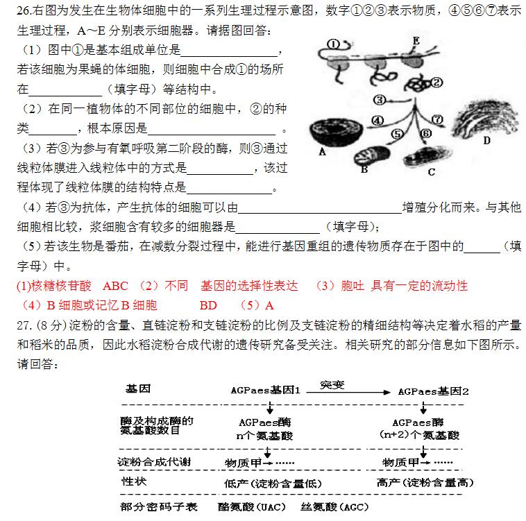 2018��߿����ﾫѡϰ�⼰��4