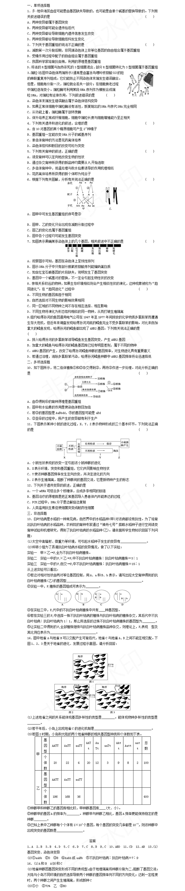 2019��߿����ﾫѡ��ϰ���𰸣�11��