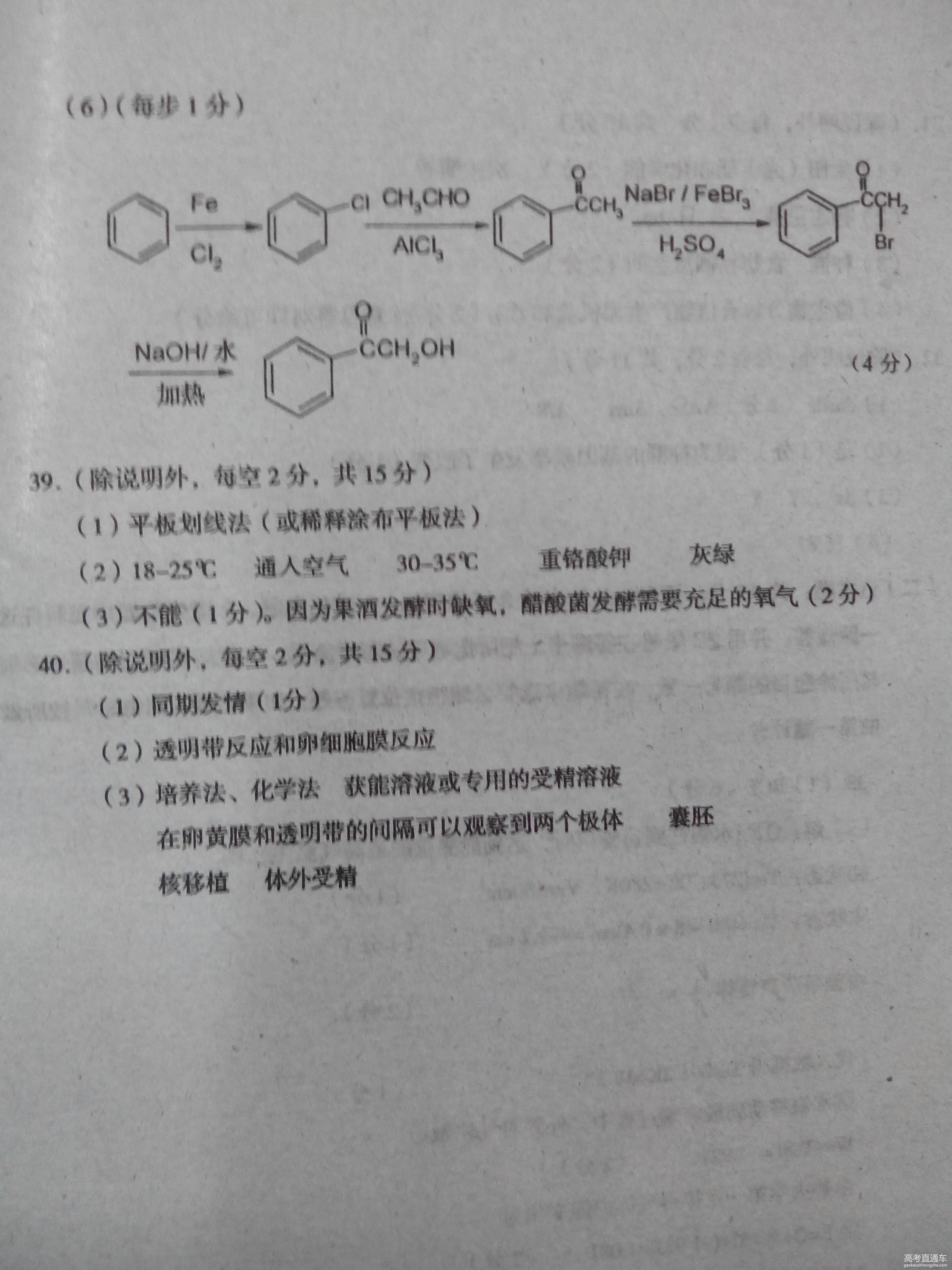 2016�㶫ï���߿���ģ���������