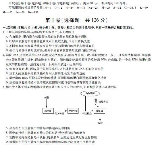 2017����ϳ�����ѧ������ѧ��������