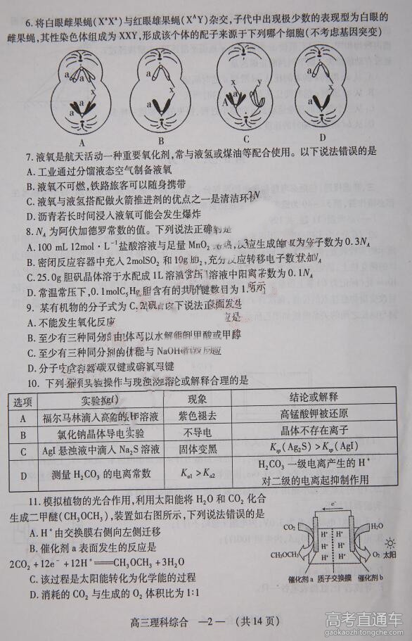 2016����5���ʼ�߿��������⼰��