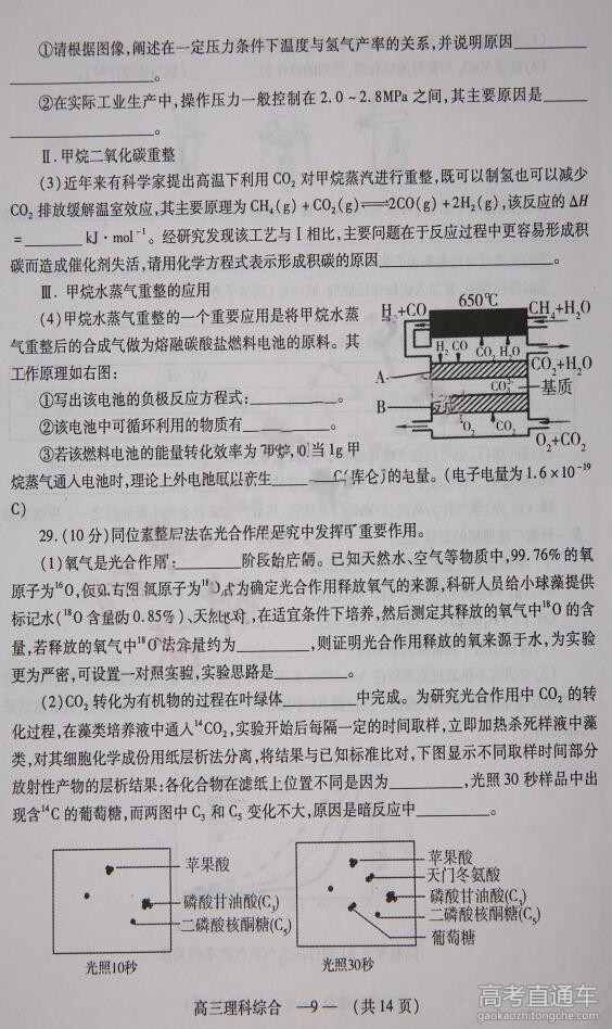 2016����5���ʼ�߿��������⼰��