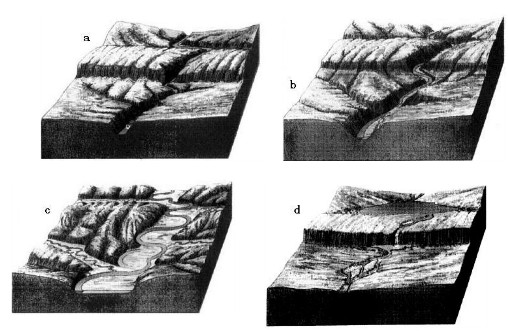 ����2013���Ŀ��ۺ�ģ�����⼰�𰸣�1��