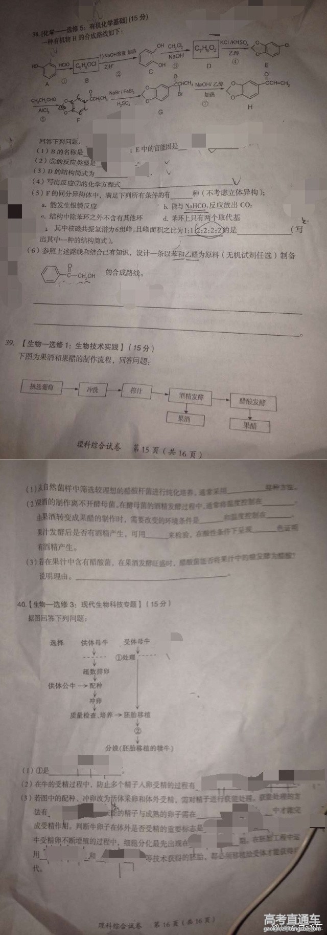 2016�㶫ï���߿���ģ��������