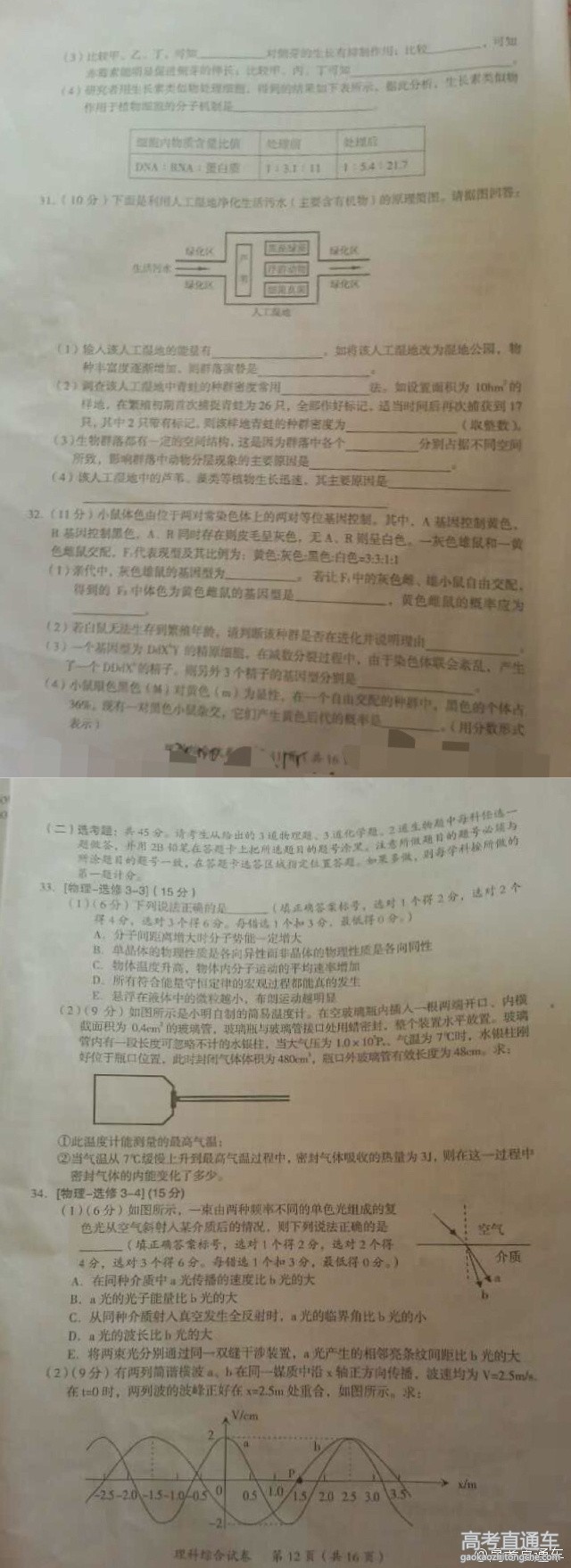 2016�㶫ï���߿���ģ��������