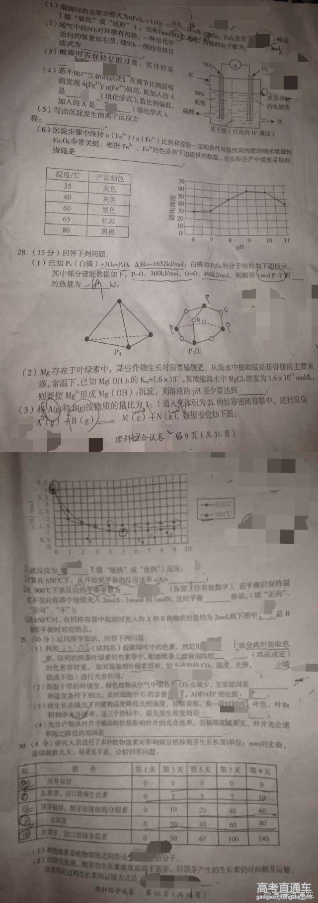 2016�㶫ï���߿���ģ��������