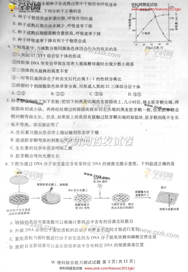2013�갲�ո߿��Ծ��������⣨ͼƬ�棩