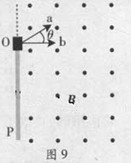 2013��㶫�߿��Ծ���������A����Word�棩