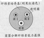 2013��㶫�߿��Ծ���������A����Word�棩