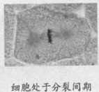 2013��㶫�߿��Ծ���������A����Word�棩