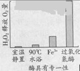 2013��㶫�߿��Ծ���������A����Word�棩