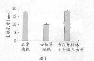 2013��㶫�߿��Ծ���������A����Word�棩