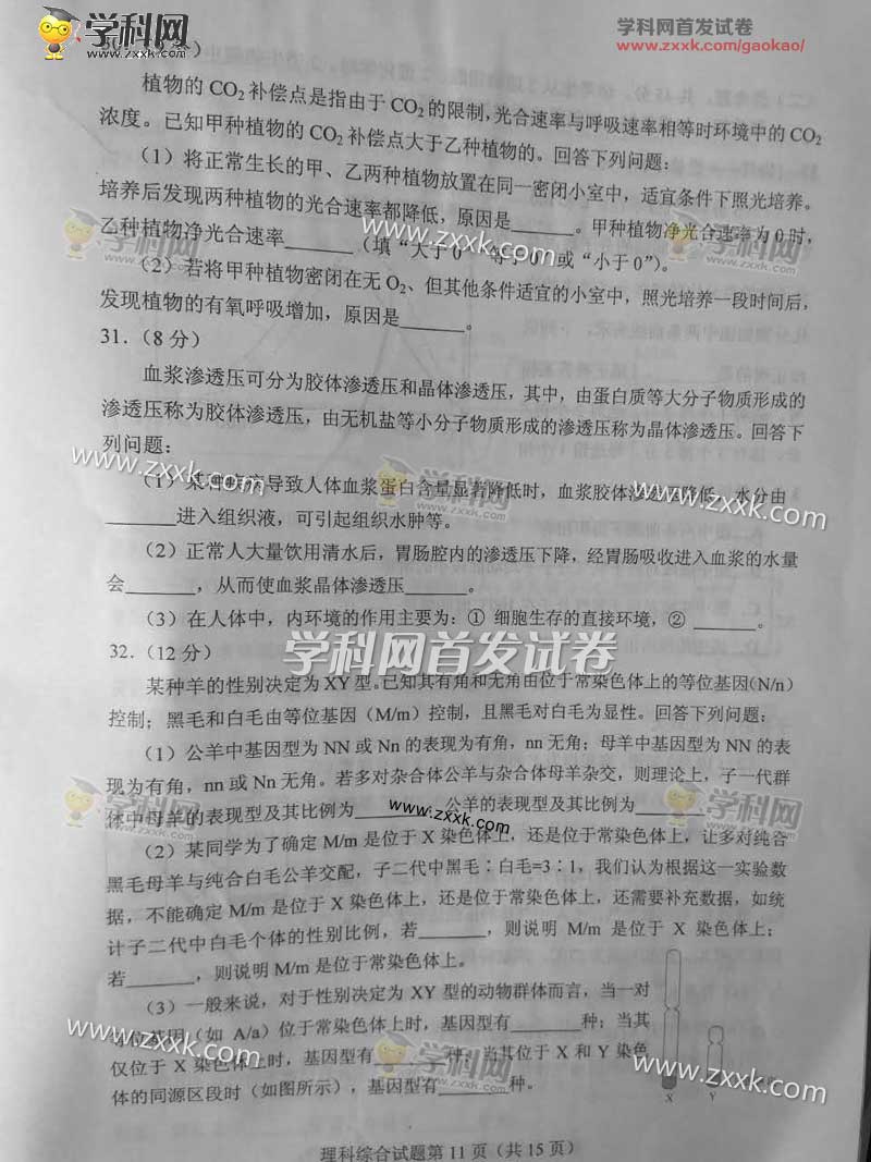 2017年湖北高考理综试卷(图片版)