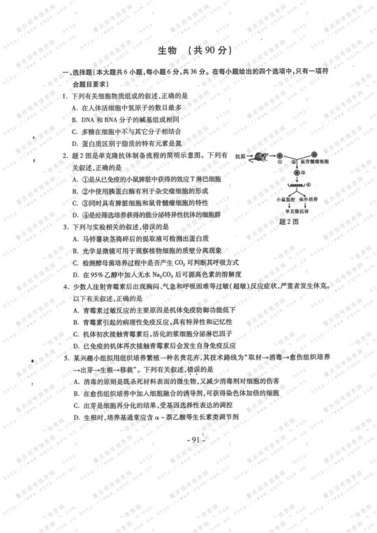 2013������߿����⼰����������𰸣�ͼƬ�棩