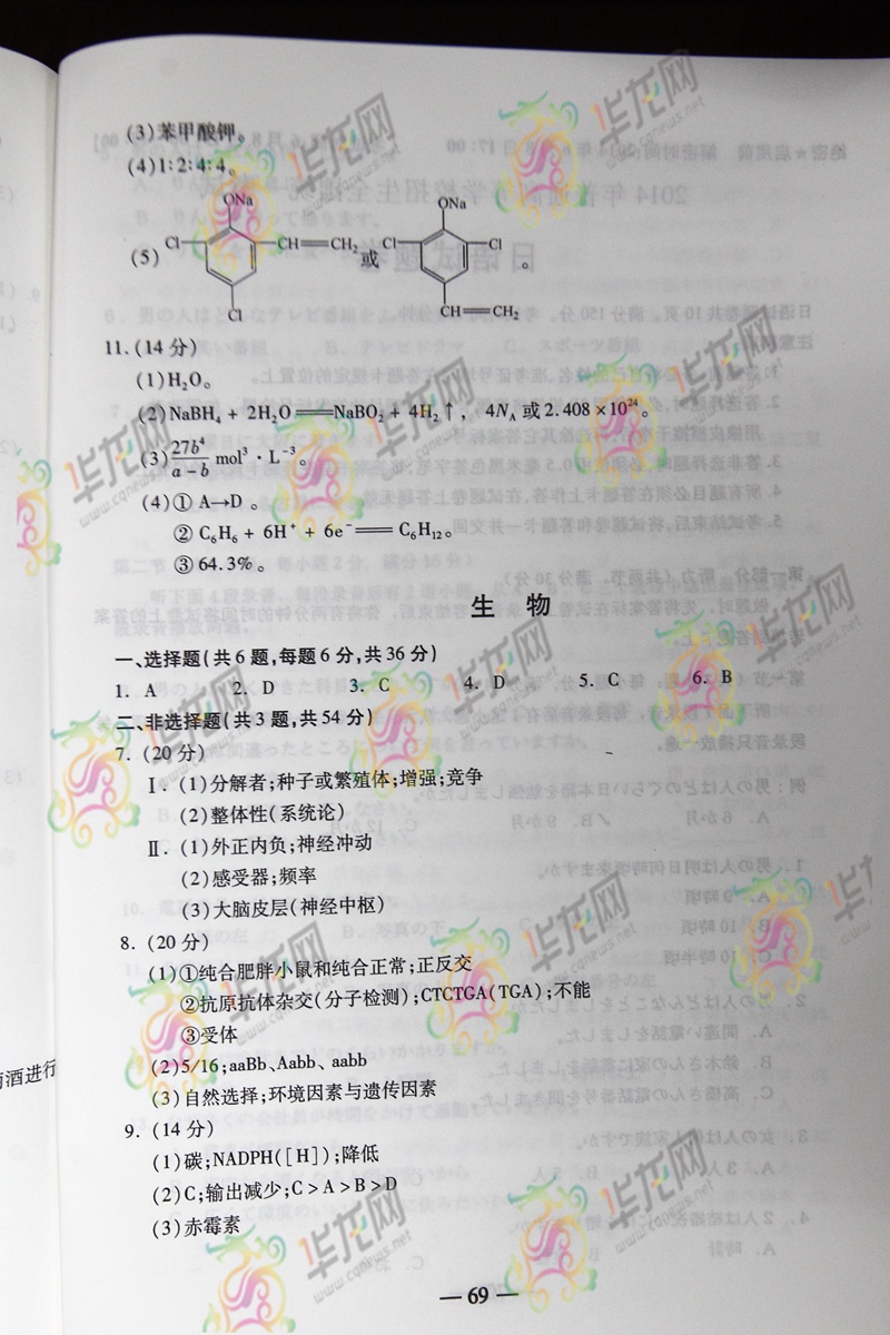 2014����߿����⼰�������Ծ���