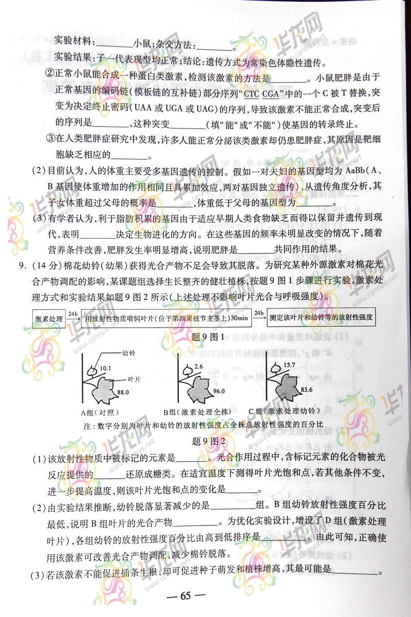 2014����߿����⼰�������Ծ���