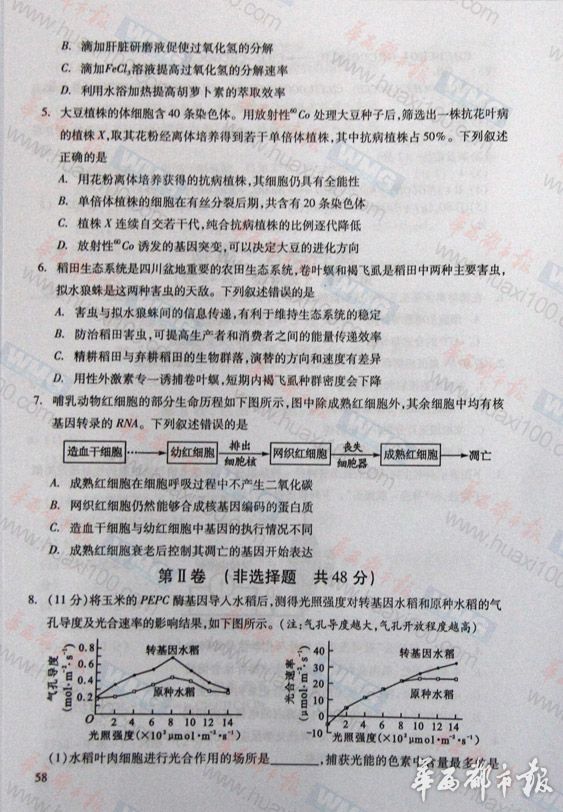 2013���Ĵ��߿����⼰�������Ծ���Ȩ���棩