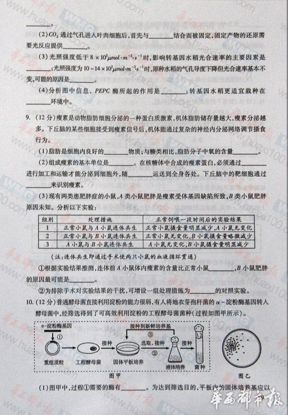 2013���Ĵ��߿����⼰�������Ծ���Ȩ���棩