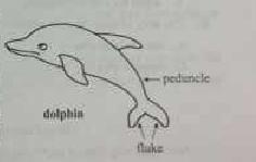 2013�걱���߿��Ծ�Ӣ�����⣨Word�棩