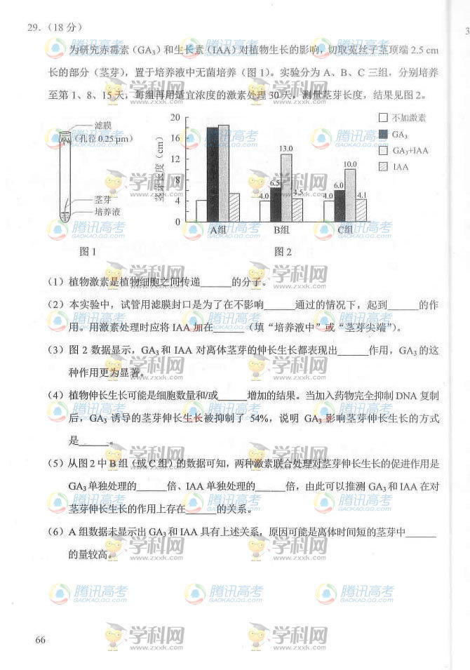2014�����߿�������������⼰��/����