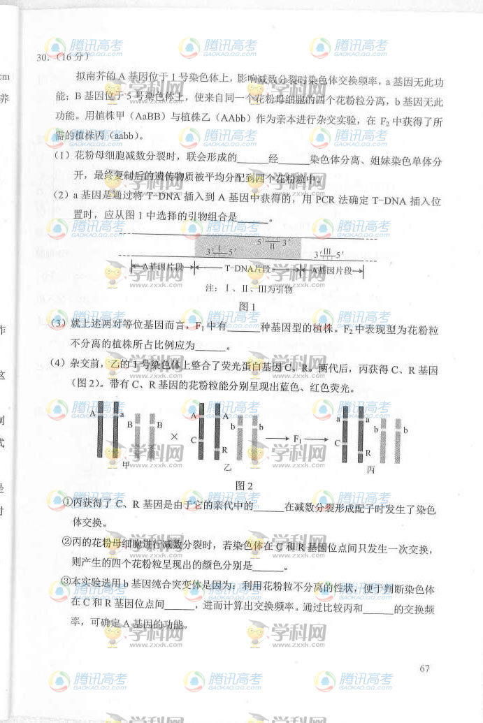 2014�����߿�������������⼰��/����