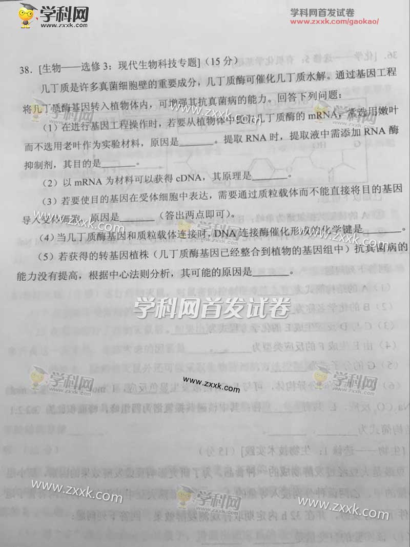 2017�������߿������Ծ�����(ͼƬ��)