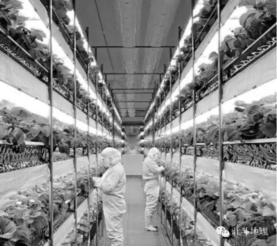 2017��߿��Ŀ��ۺ���Ӧ�Բ��Ե����Ծ�