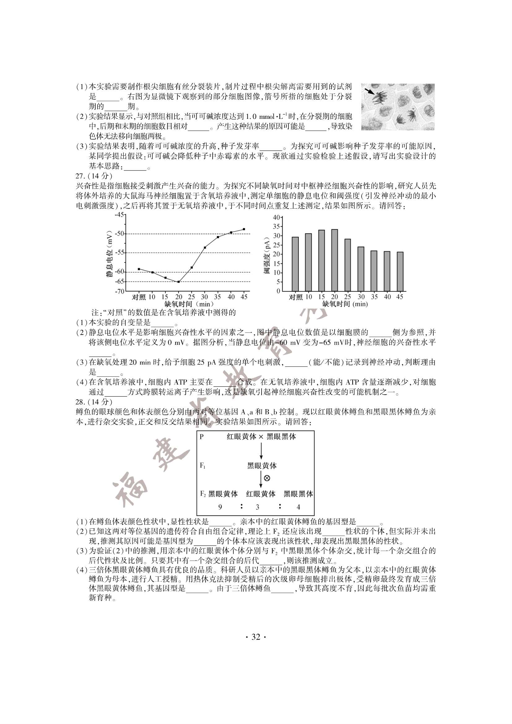 2015�����߿��������⼰�ο���